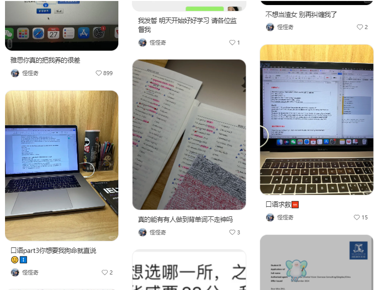IELTS study content screenshot examples