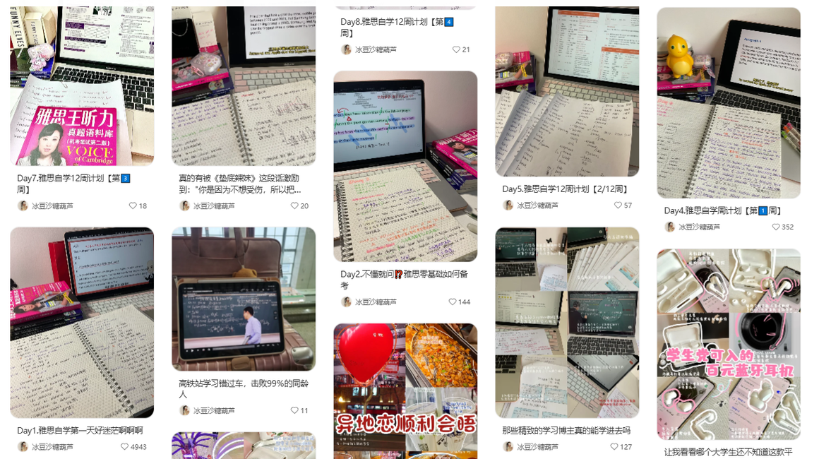 Student plog and IELTS study content examples