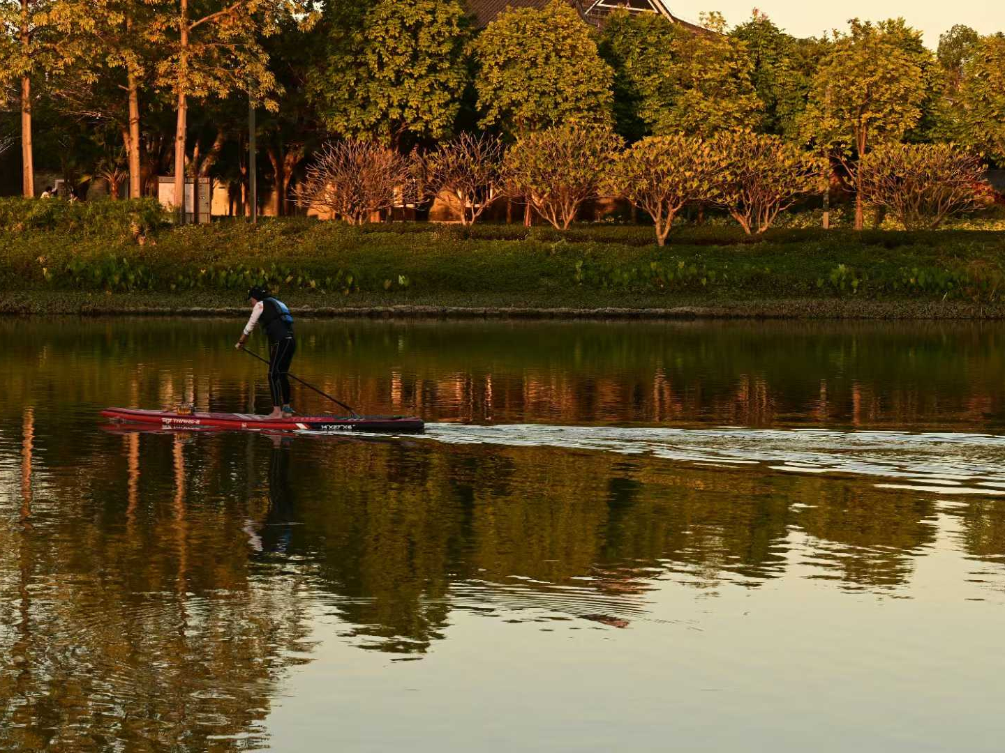 Wide photo of a lakeside with tree shadows