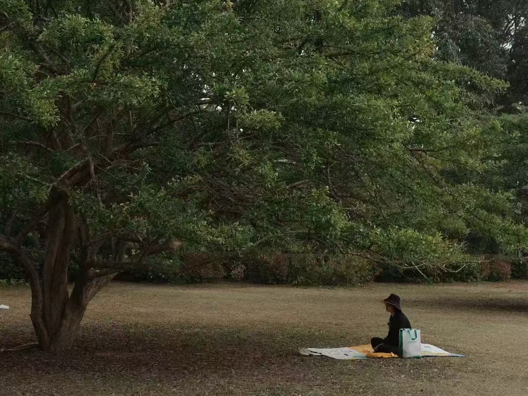Distant figure sitting on grass under a large tree