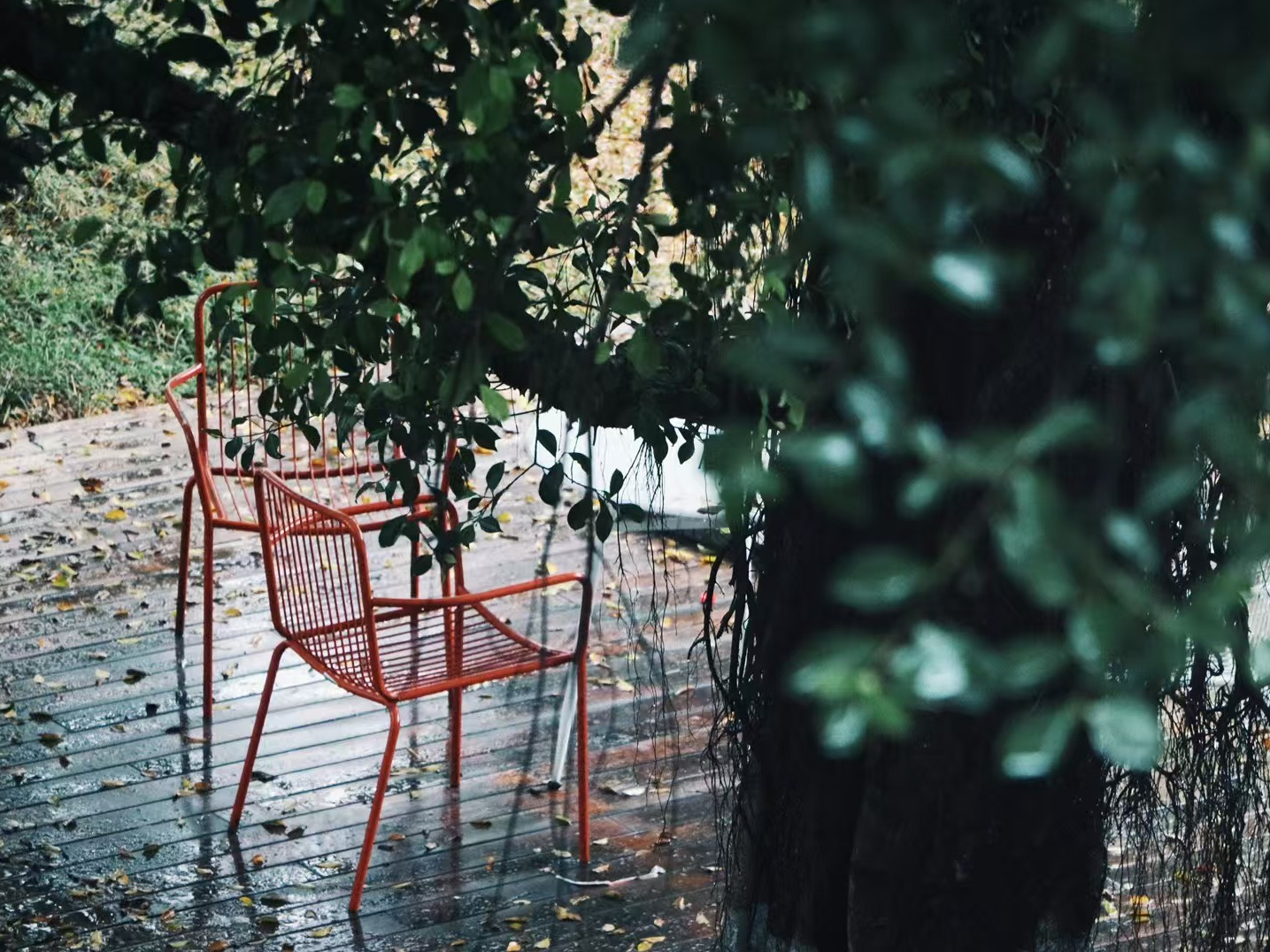 A red chair among greenery